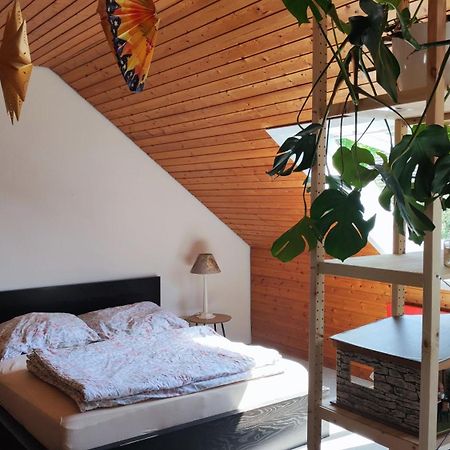 Big Cozy Entire Family Appartment 汉诺威 外观 照片