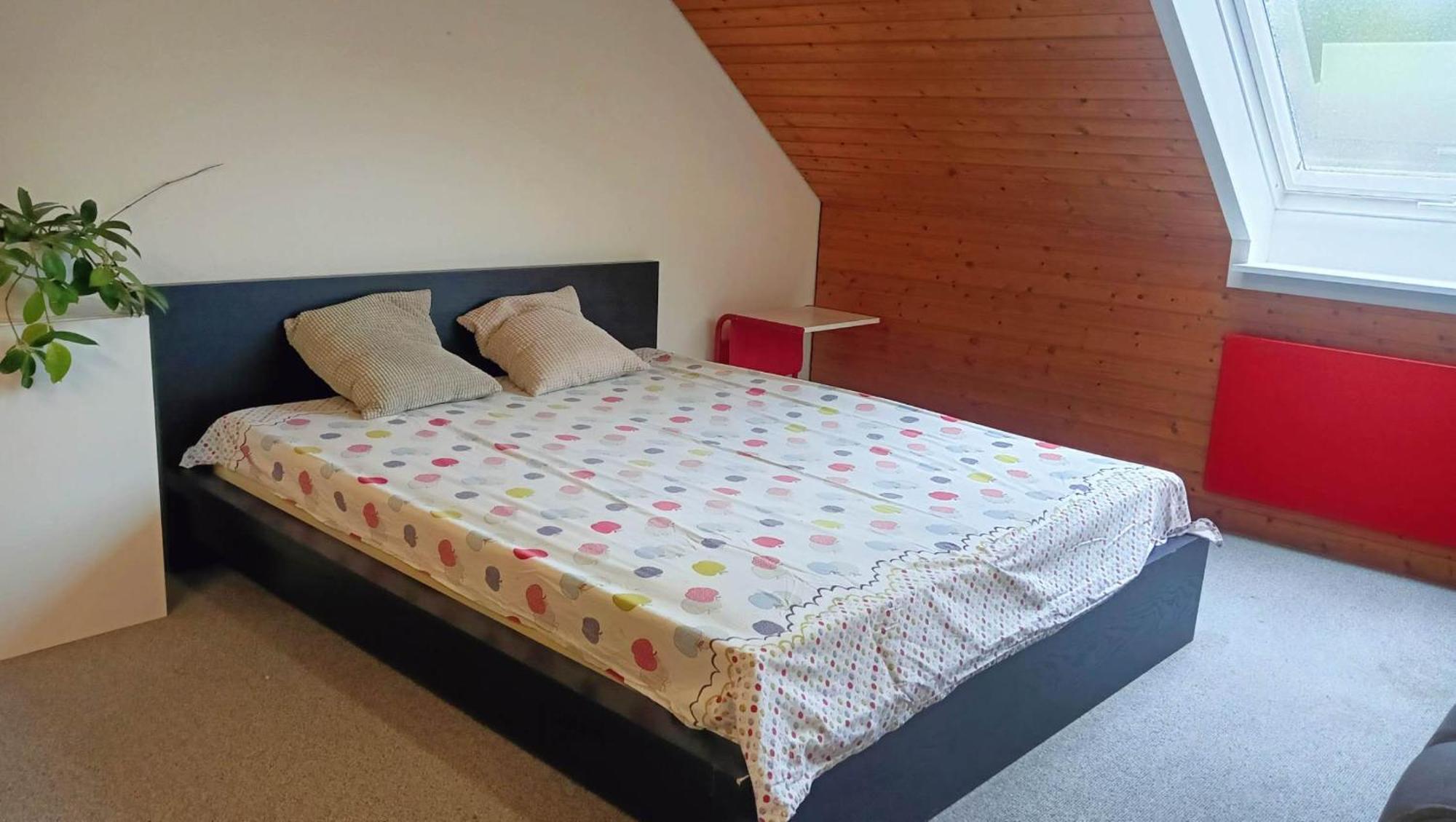 Big Cozy Entire Family Appartment 汉诺威 外观 照片