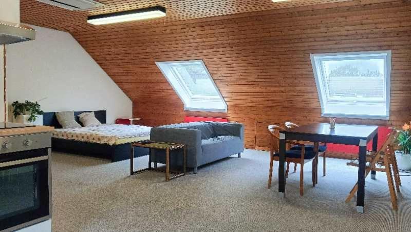 Big Cozy Entire Family Appartment 汉诺威 外观 照片