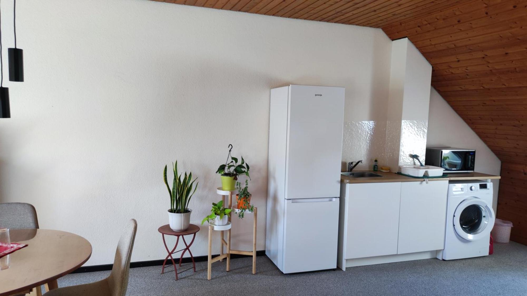 Big Cozy Entire Family Appartment 汉诺威 外观 照片